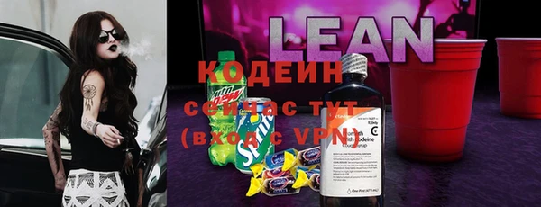 прущие грибы Заволжск