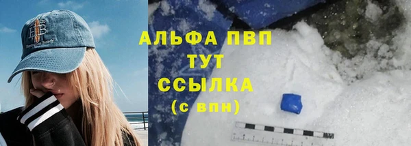 крисы Алзамай