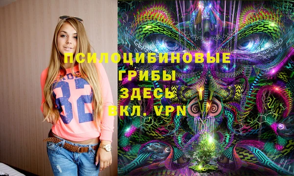 крисы Алзамай