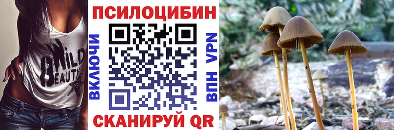 Псилоцибиновые грибы Cubensis  где можно купить наркотик  Липки 
